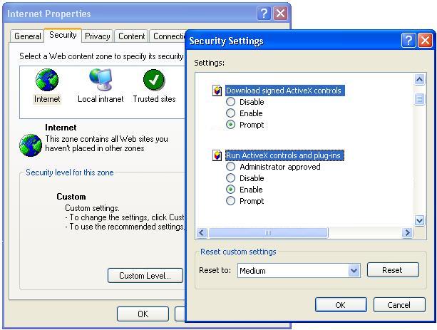 Enable ActiveX setting